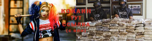 молекула духа Армянск