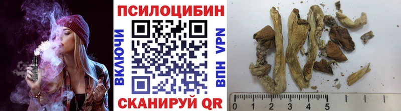 hydra рабочий сайт  мориарти телеграм  Галлюциногенные грибы Psilocybine cubensis  Ленск 