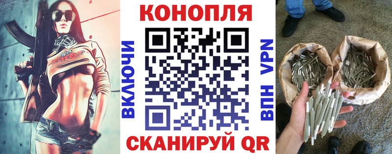Каннабис сатива Ленск